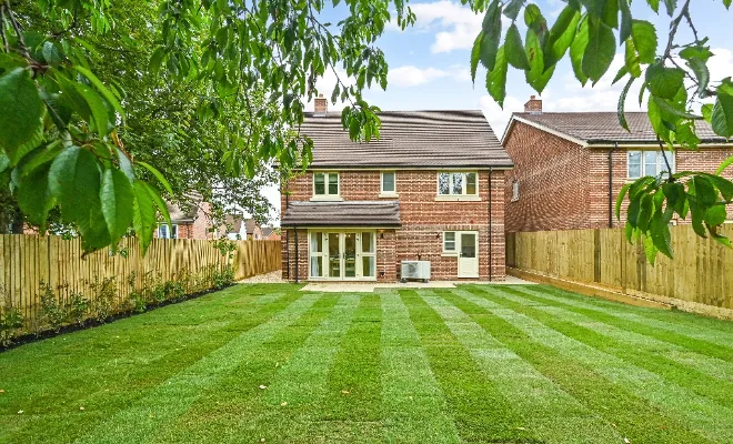 sketch ph3 5294885@2x (1)